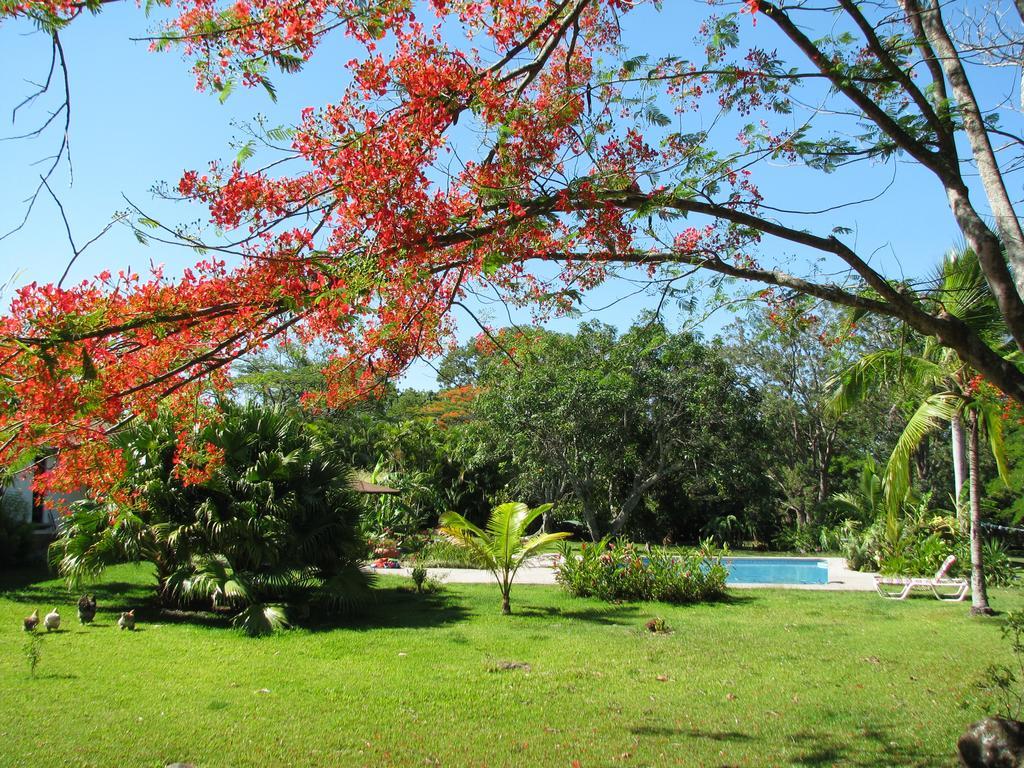 Quinta Celeste Hotel La Garita  Buitenkant foto